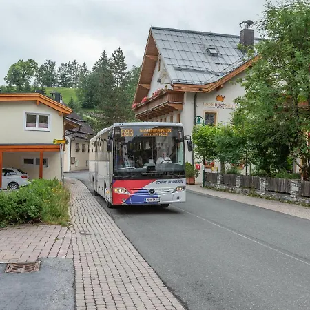 Cozy In Near Ski Area